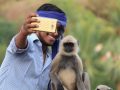 Mann macht ein Selfie von sich und einem Affen.