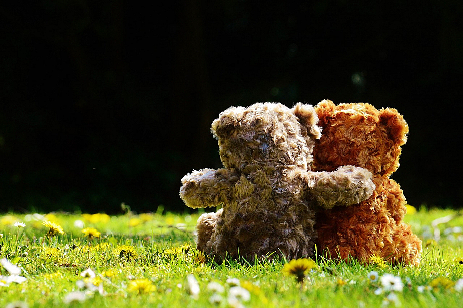 Zwei Teddybären sitzten Arm in Arm im Gras. 