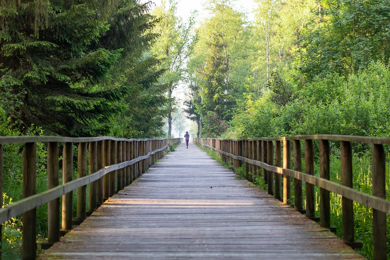 Joggen in der Natur: Digitale Freiräume gehören zu digitalem Minimalismus.