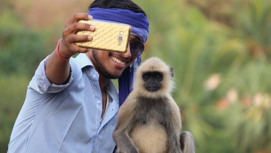 Mann macht ein Selfie von sich und einem Affen.