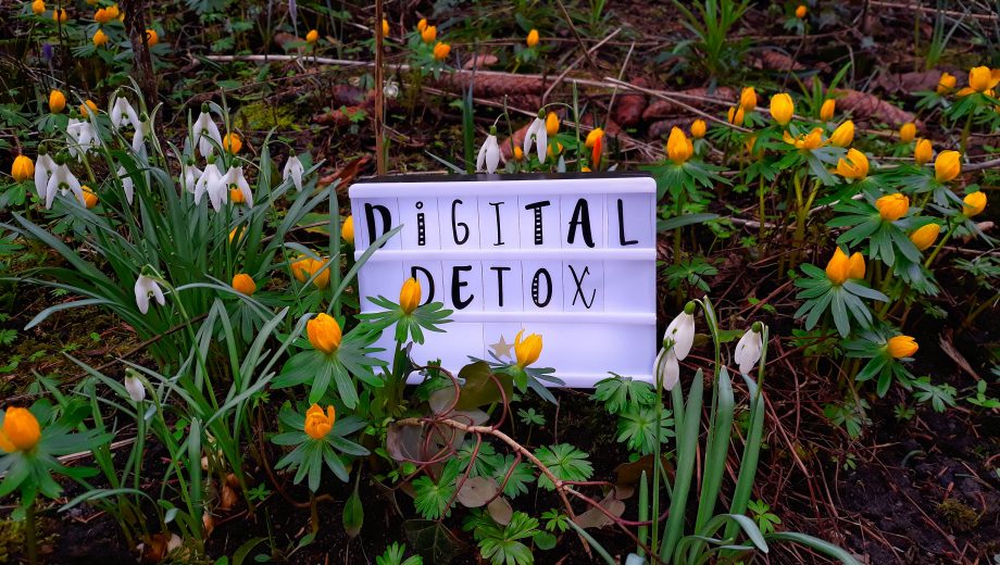 Lichtbox mit "Digital Detox" zwischen Frühlingsblumen